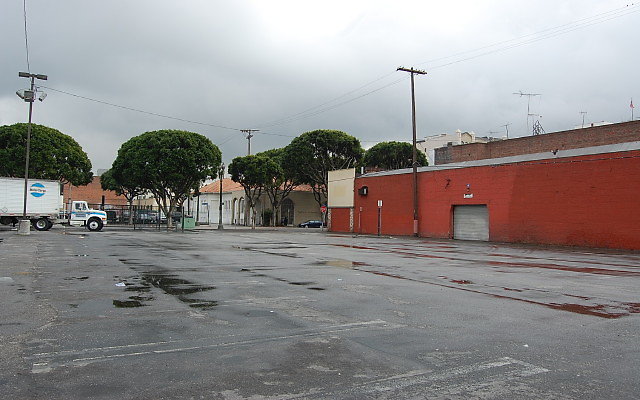 DSC 0097