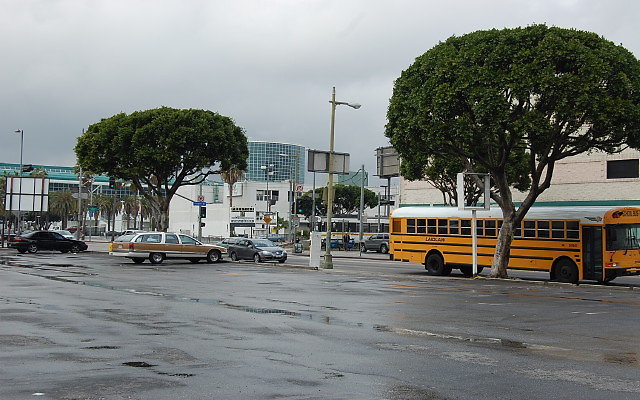 DSC 0089