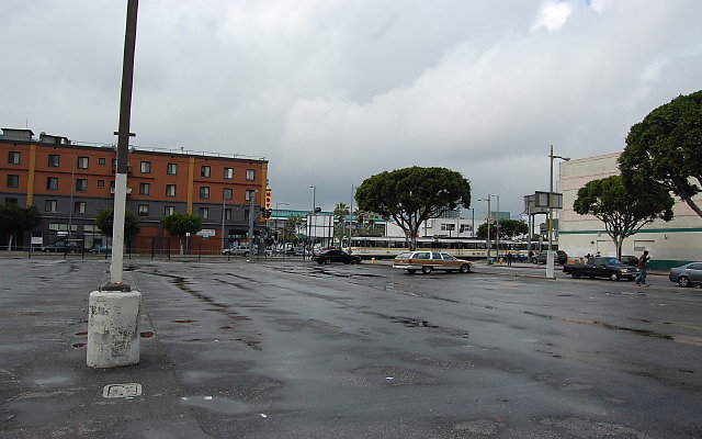 DSC 0090