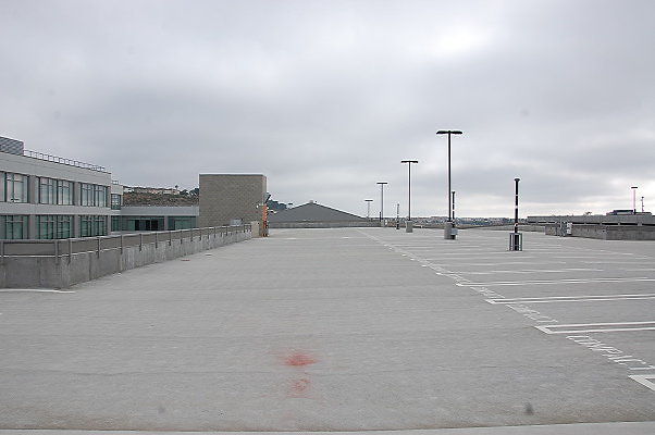 DSC 0050