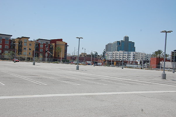 DSC 0137