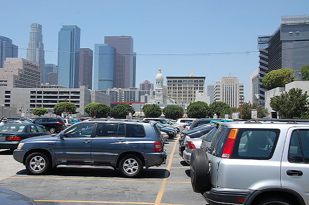 DSC 0224