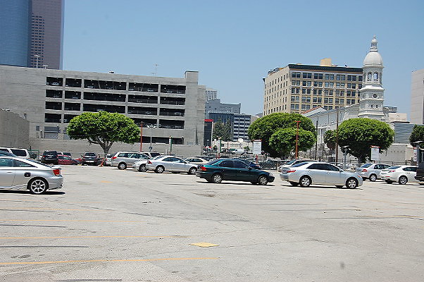 DSC 0195