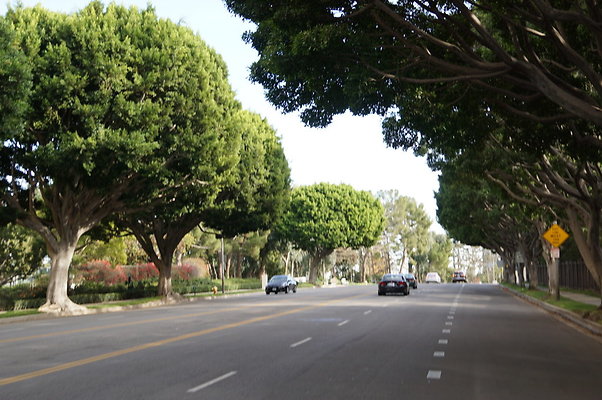 Cent.Park.East.CC.76