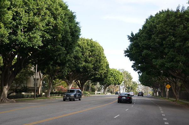 Cent.Park.East.CC.75