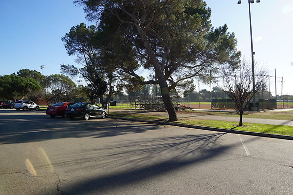 Cheviot.Park.Green.Sidewalk.22