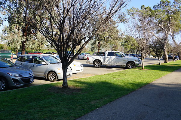 Cheviot.Park.Green.Sidewalk.15