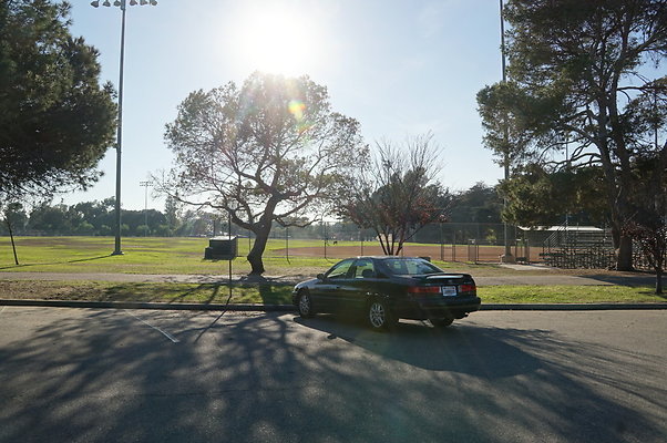 Cheviot.Park.Green.Sidewalk.29