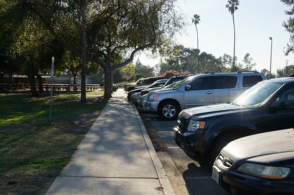 Cheviot.Park.Green.Sidewalk.48