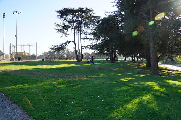 Cheviot.Park.Green.Sidewalk.18
