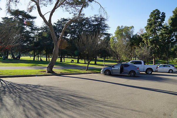 Cheviot.Park.Green.Sidewalk.24
