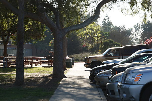 Cheviot.Park.Green.Sidewalk.46