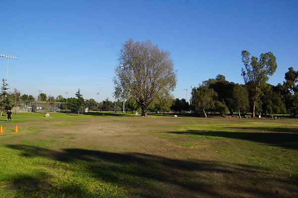 Cheviot.Park.Green.Sidewalk.42