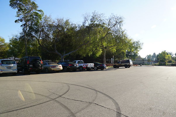 Cheviot.Park.Green.Sidewalk.51