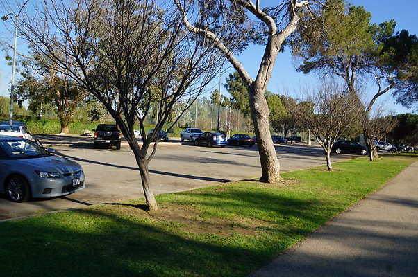 Cheviot.Park.Green.Sidewalk.12