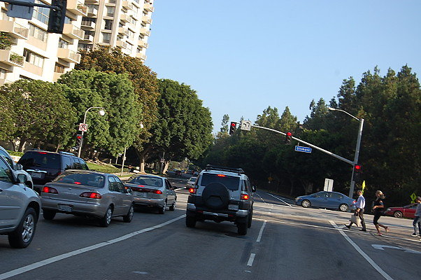 DSC 0275