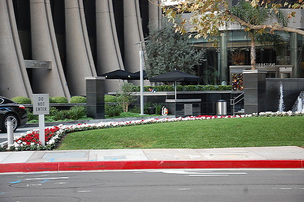 DSC 0019