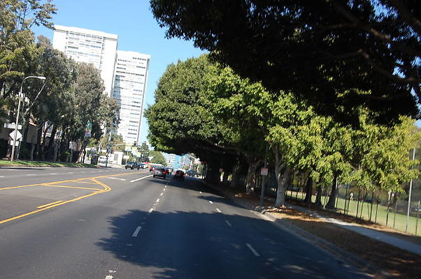 DSC 0013