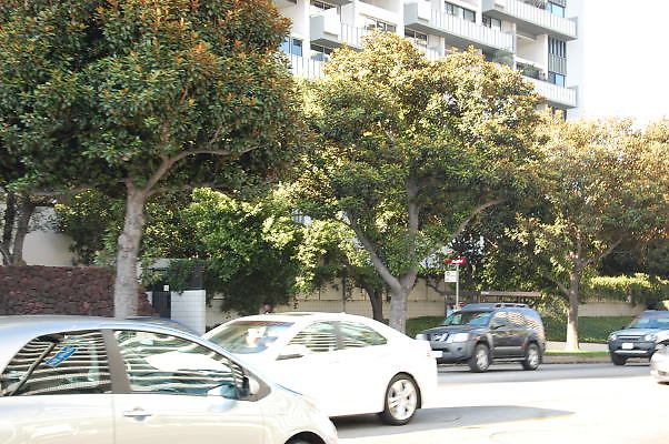 DSC 0398