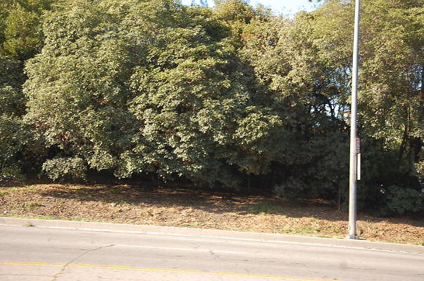 DSC 0417