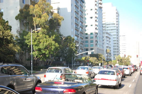 DSC 0378
