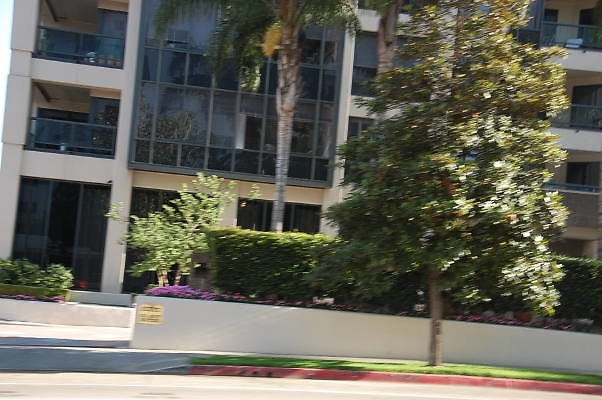 DSC 0367