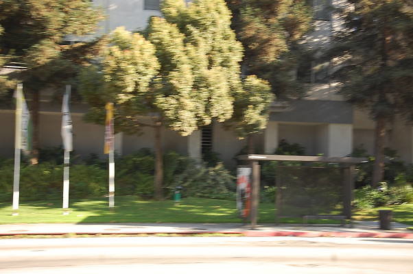 DSC 0364