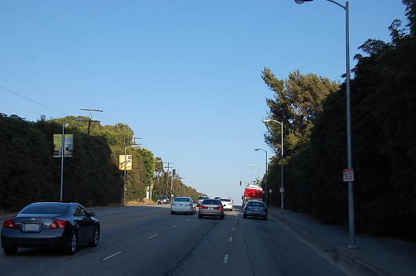 DSC 0405