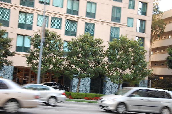 DSC 0360
