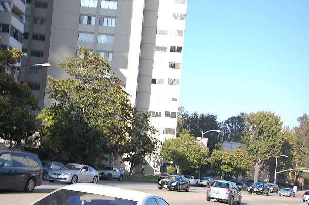 DSC 0401