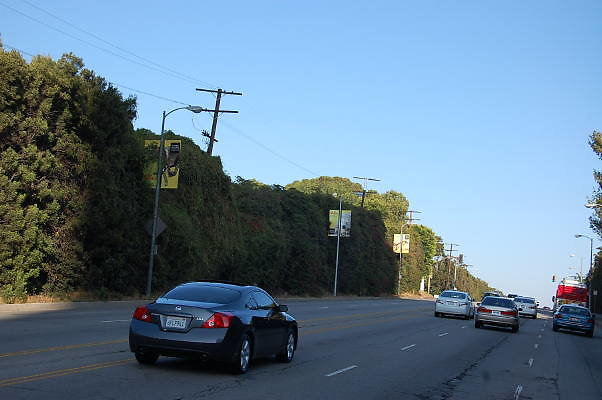 DSC 0404