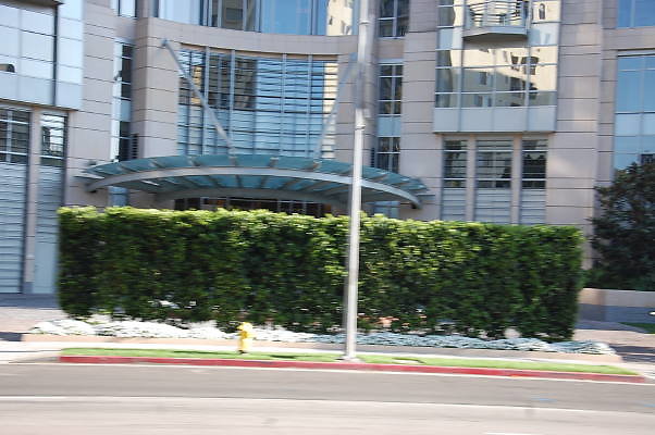 DSC 0373