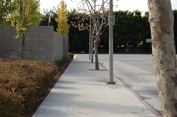 DSC 0143