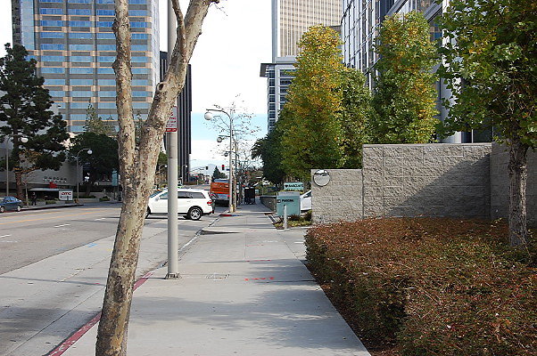 DSC 0146