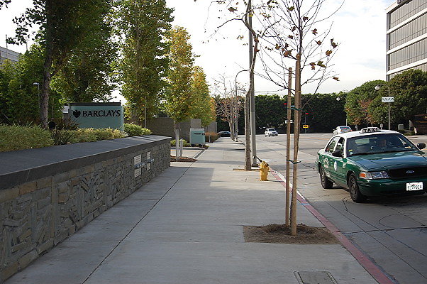 DSC 0150