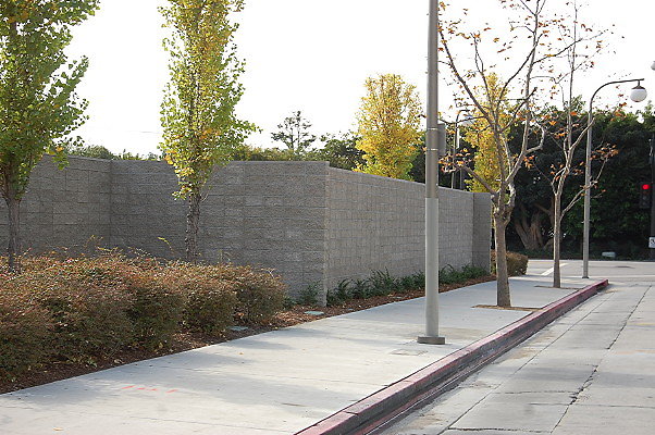 DSC 0142