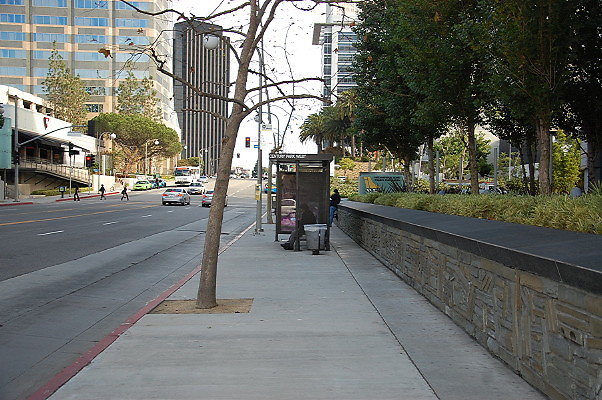 DSC 0153