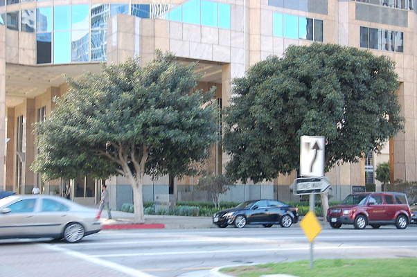 DSC 0181