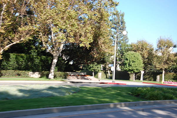 DSC 0286
