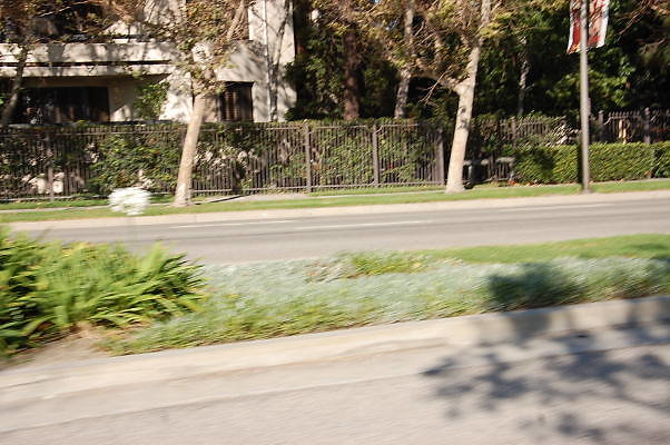 DSC 0279
