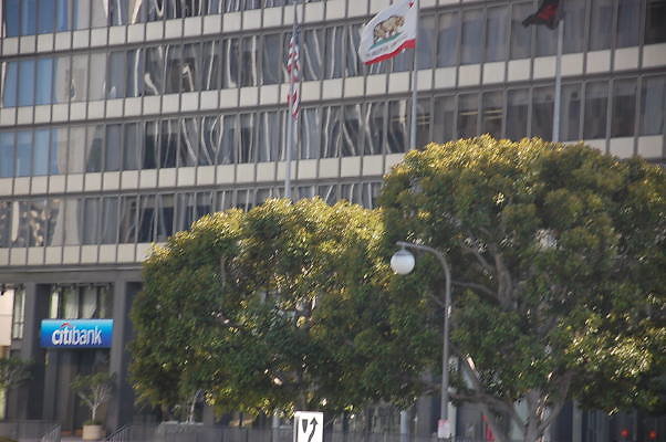 DSC 0259