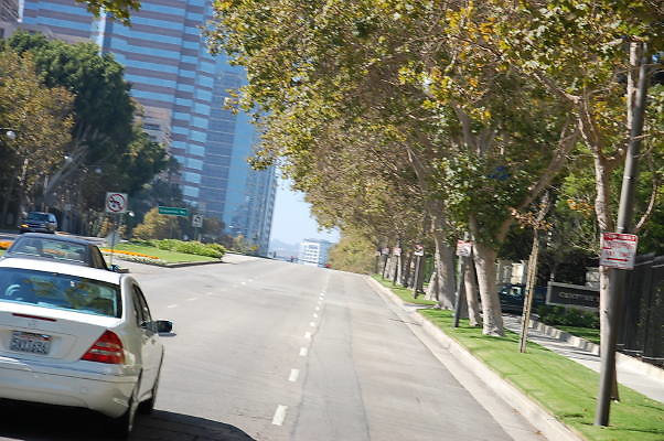 DSC 0029