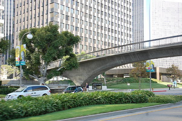 DSC 0263