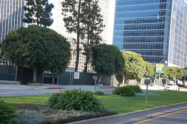 DSC 0268