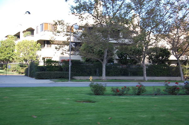 DSC 0282