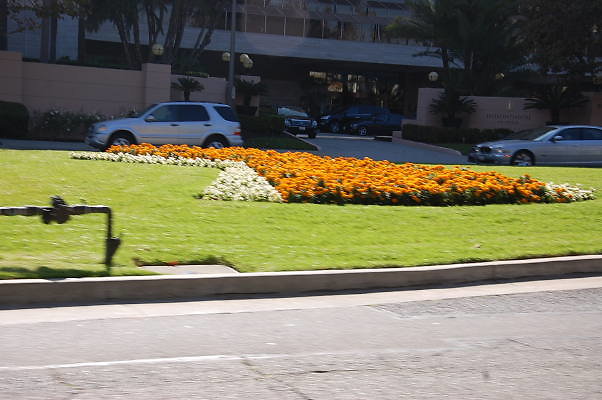 DSC 0038