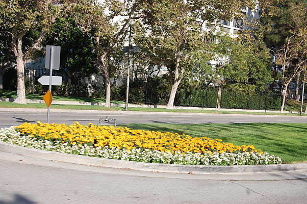 DSC 0289