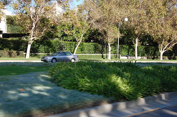 DSC 0285
