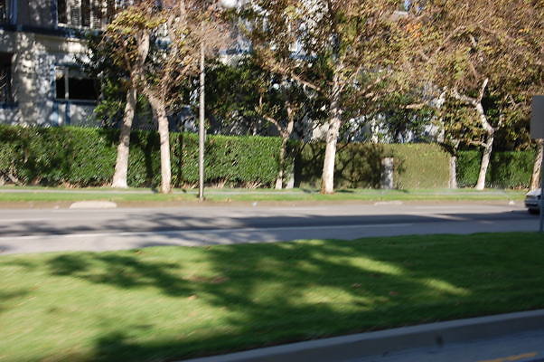 DSC 0287