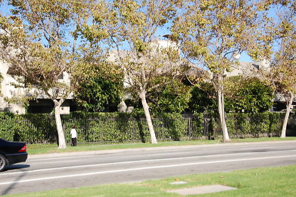 DSC 0280
